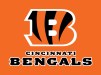Cincinnati Bengals logo
